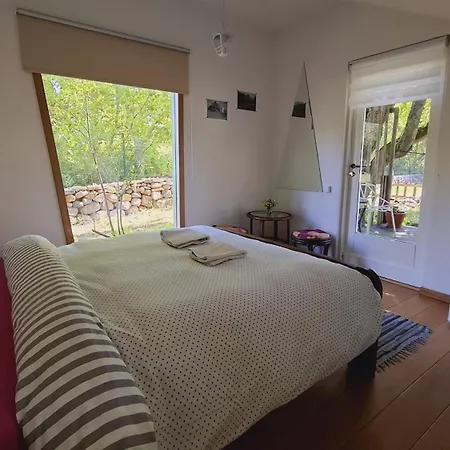 Kemping Kardoni Puhkelaager Tornimäe