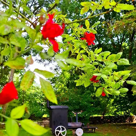 Kardoni Puhkelaager Tornimae