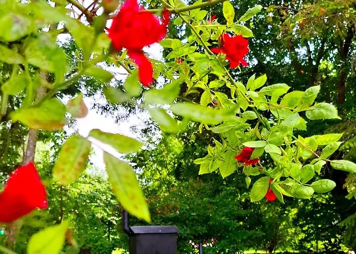 Kardoni Puhkelaager Tornimae